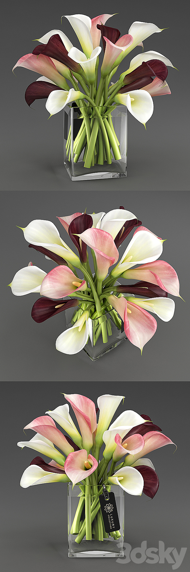 Calla_04_1 3DS Max Model - thumbnail 2