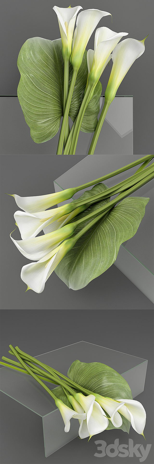 Callas 2 3DSMax File - thumbnail 2