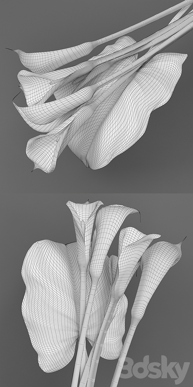 Callas 2 3DSMax File - thumbnail 3