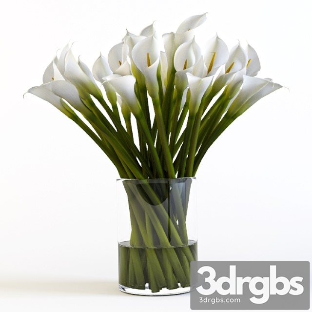 Callas 3dsmax Download - thumbnail 1