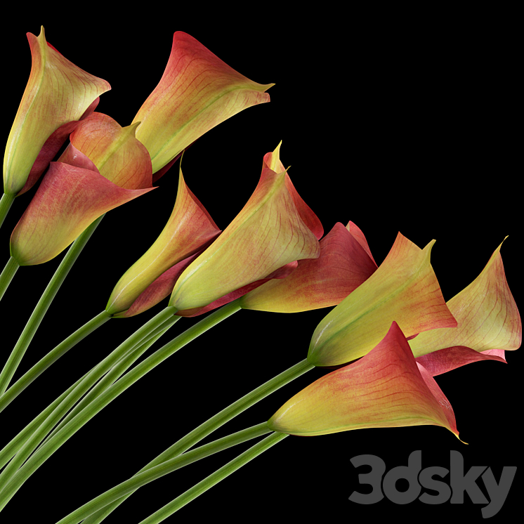 Callas red 3DS Max - thumbnail 2