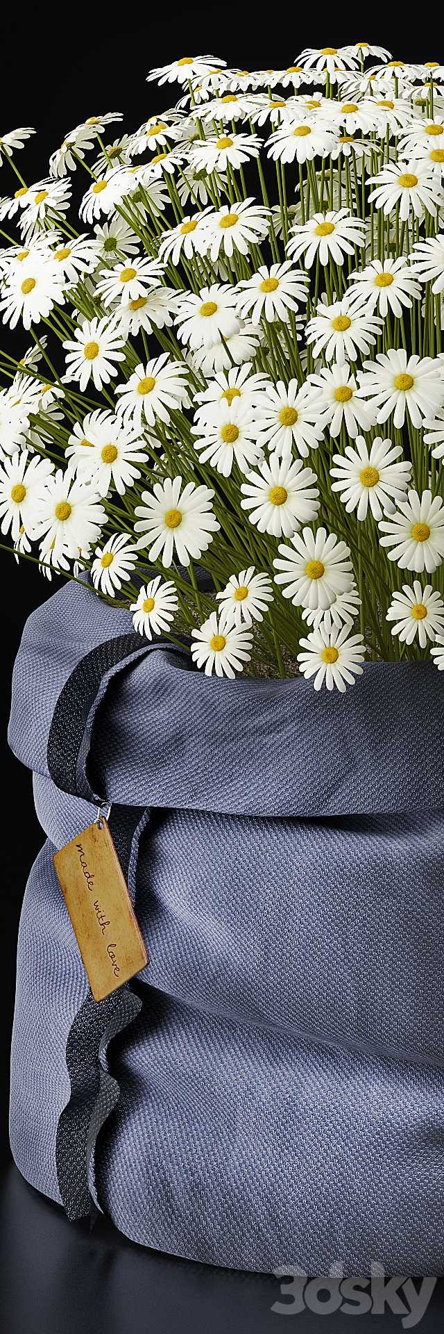 Chamomile … with love …. 3DSMax File - thumbnail 2