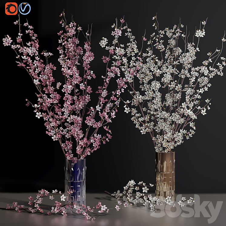 Cherry Blossom Sakura Flower Branch Vases 3DS Max Model - thumbnail 3