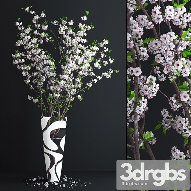 Cherry White Blossom 3dsmax Download - thumbnail 1