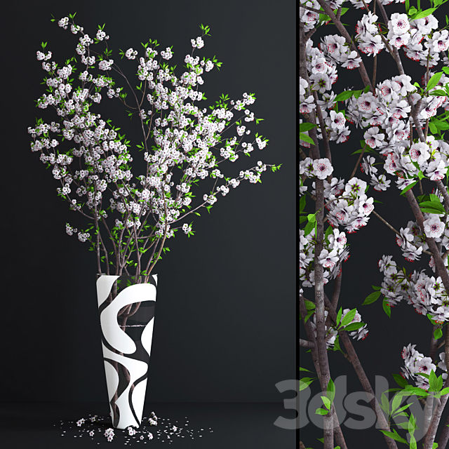 Cherry White Blossom 3DSMax File - thumbnail 1