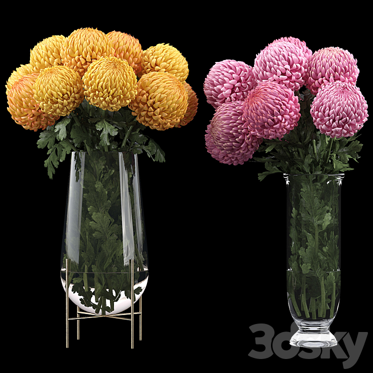 Chrysanthemum 2 3DS Max - thumbnail 1