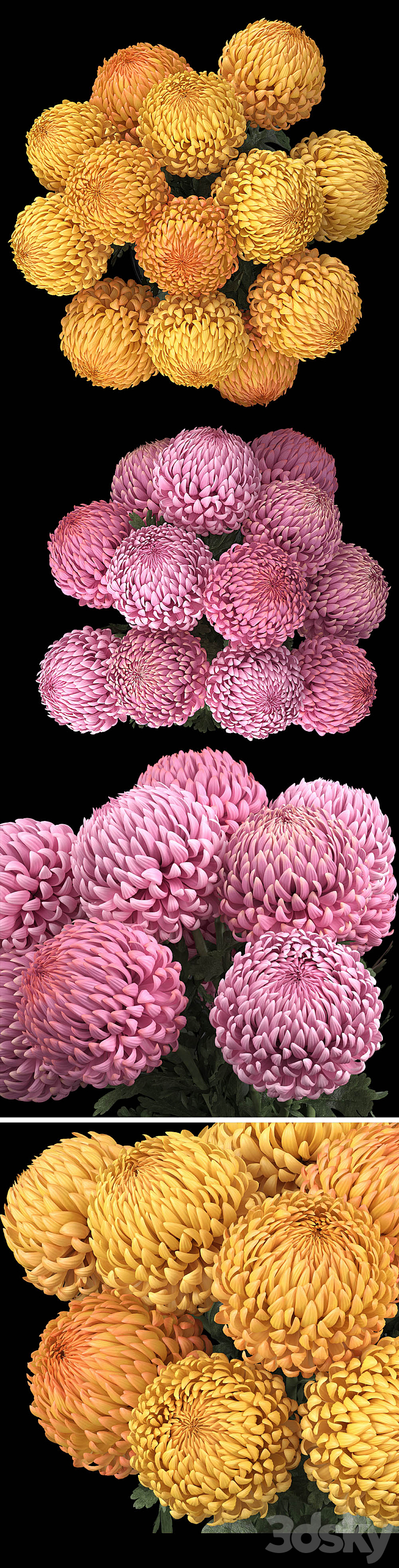 Chrysanthemum 2 3DS Max - thumbnail 2