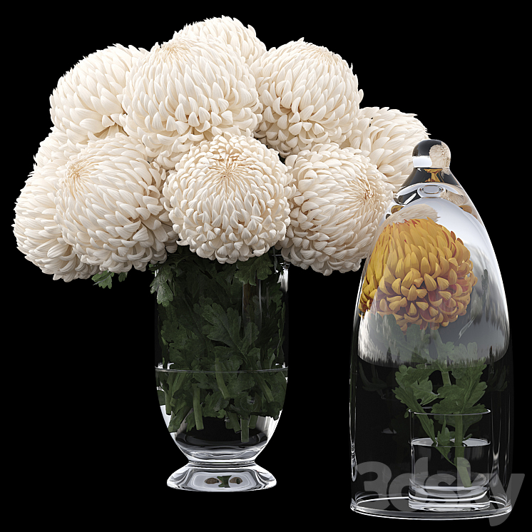 Chrysanthemums 1 3DS Max - thumbnail 1