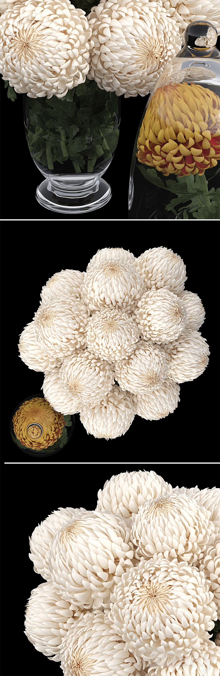 Chrysanthemums 1 3DS Max - thumbnail 2