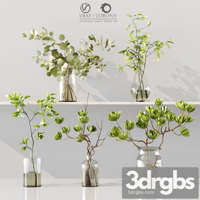 Collaction Indoor Plants 025 3dsmax Download - thumbnail 1