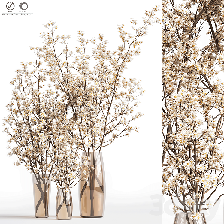 Collaction_Plants_Bouquet_11 3DS Max Model - thumbnail 1