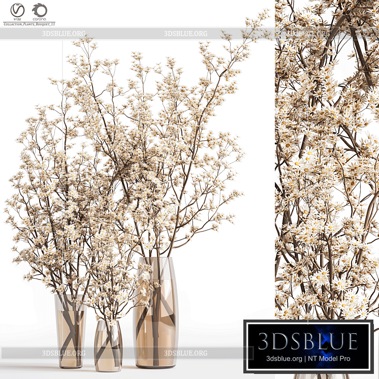 Collaction_Plants_Bouquet_11 3DS Max - thumbnail 3