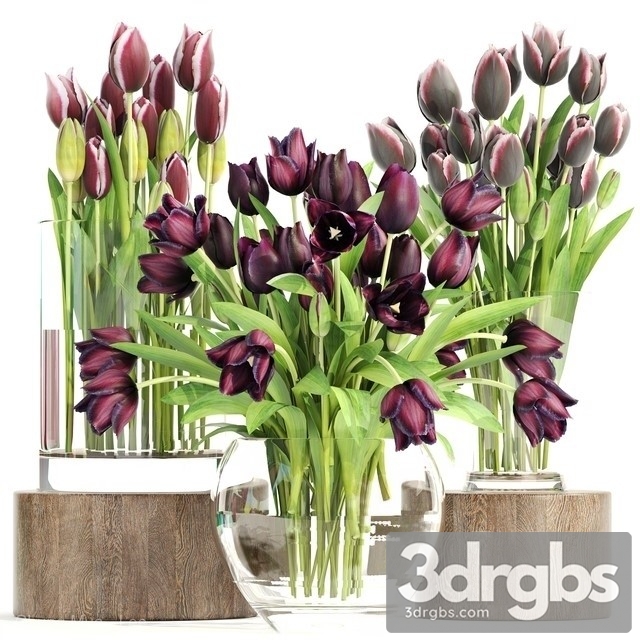 Collection Flowers Tulips 3dsmax Download - thumbnail 1