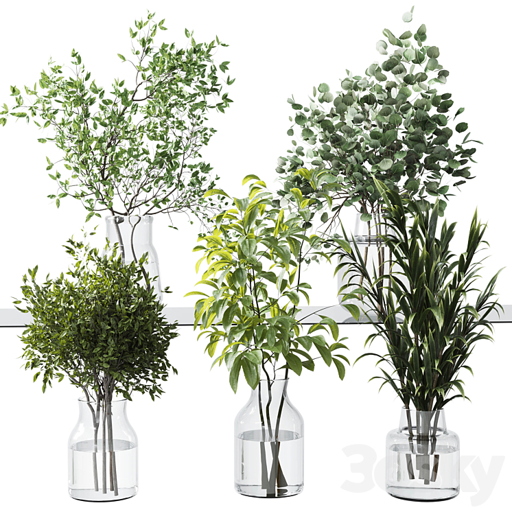 Collection Green Plants Bouquet Indoor 12 3DS Max Model - thumbnail 3