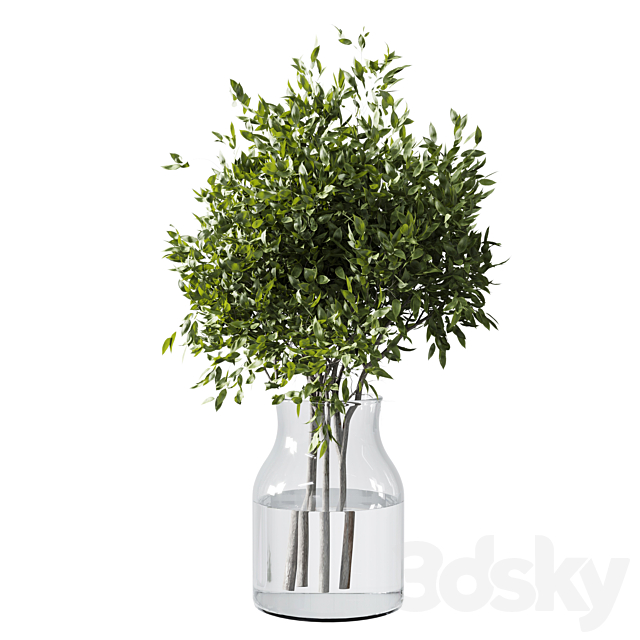 Collection Green Plants Bouquet Indoor 12 3DS Max Model - thumbnail 3