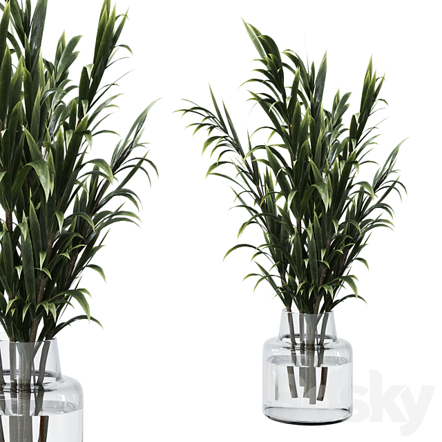 Collection Green Plants Bouquet Indoor 12 3DS Max Model - thumbnail 4