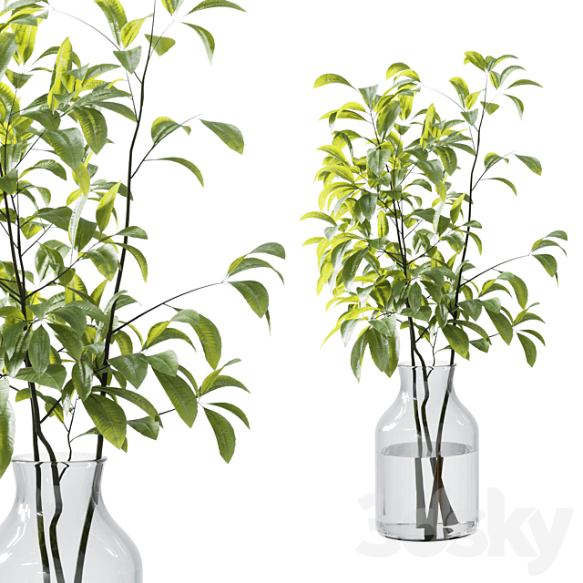 Collection Green Plants Bouquet Indoor 12 3DS Max Model - thumbnail 5