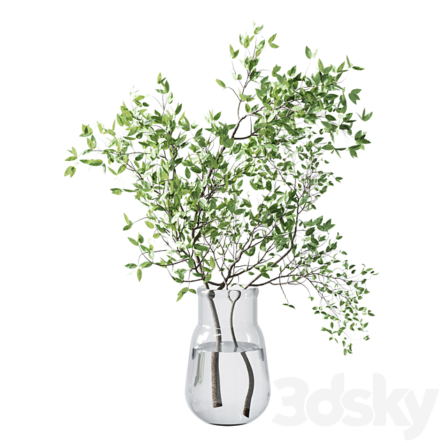 Collection Green Plants Bouquet Indoor 12 3DS Max Model - thumbnail 6