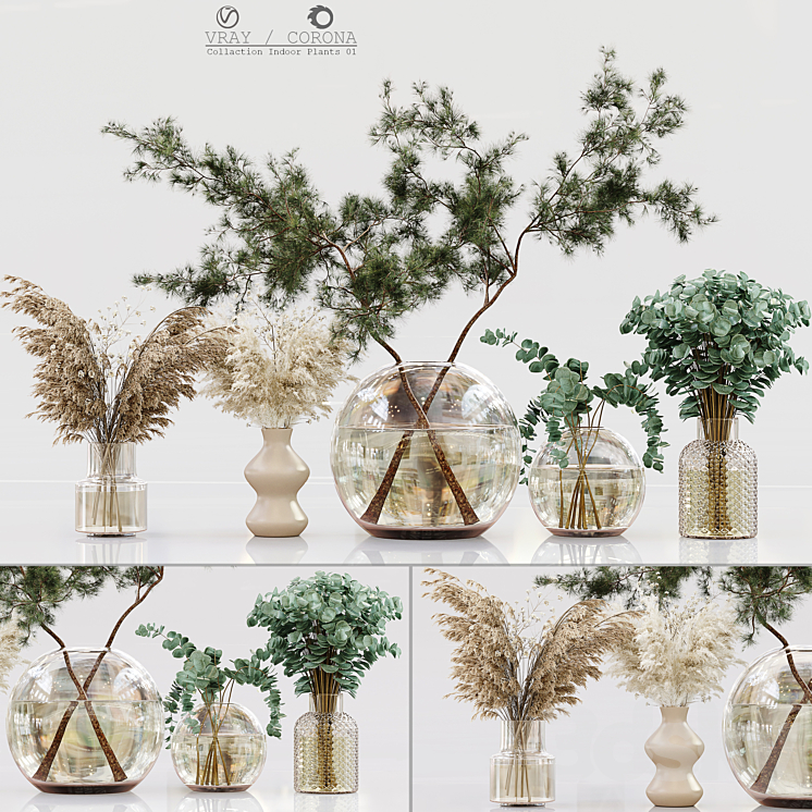 Collection Indoor Plants 01 3DS Max - thumbnail 1