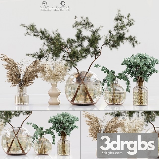 Collection Indoor Plants 01 3dsmax Download - thumbnail 1