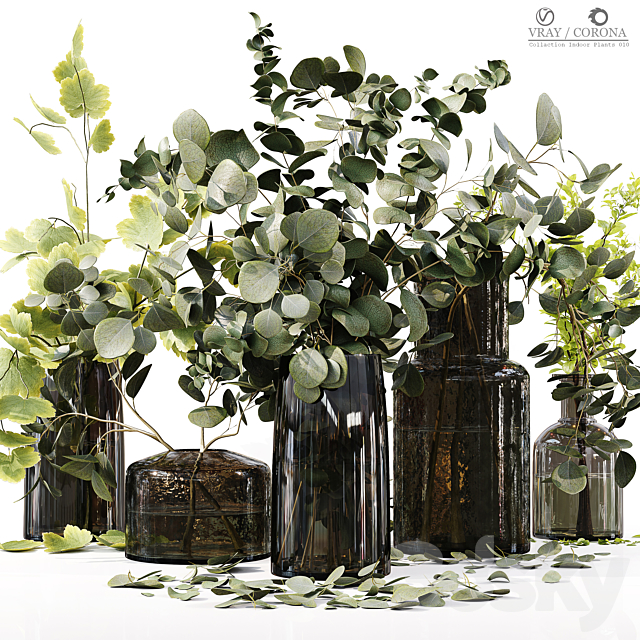 Collection Indoor Plants 010 3ds Max - thumbnail 1