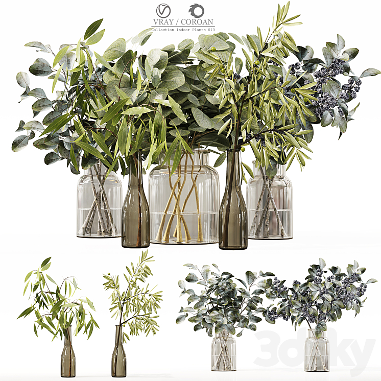 Collection Indoor Plants 013 3DS Max Model - thumbnail 3