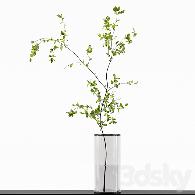 Collection Indoor Plants 015 3DS Max Model - thumbnail 4