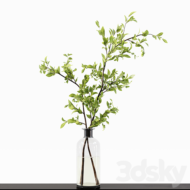 Collection Indoor Plants 015 3DS Max Model - thumbnail 5