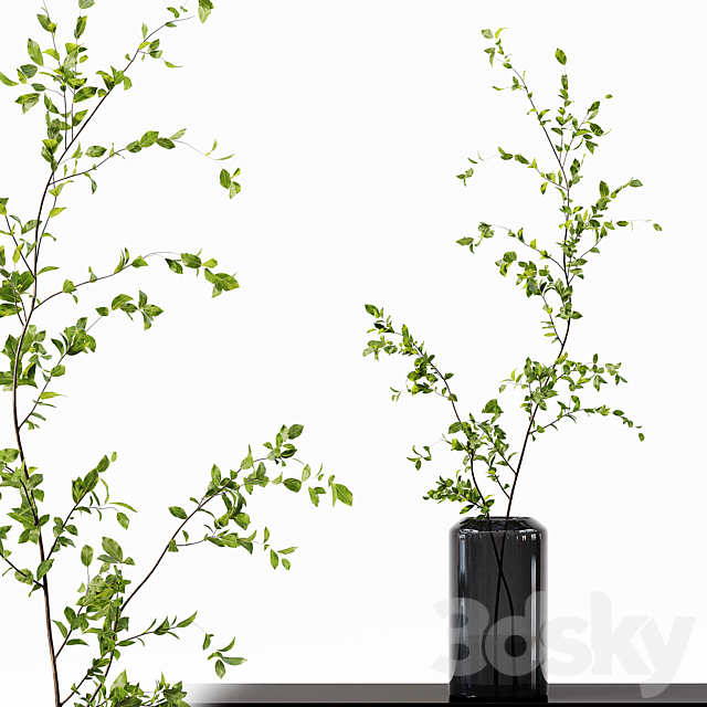 Collection Indoor Plants 015 3DS Max Model - thumbnail 6