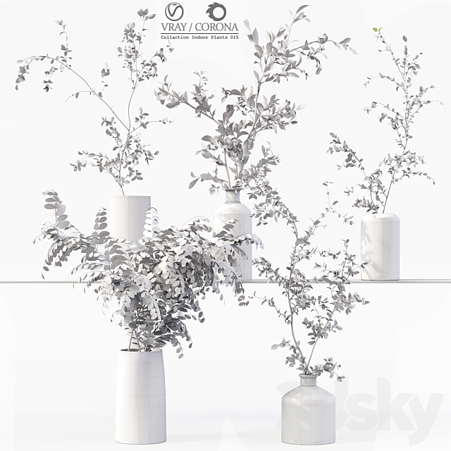 Collection Indoor Plants 015 3DS Max Model - thumbnail 7