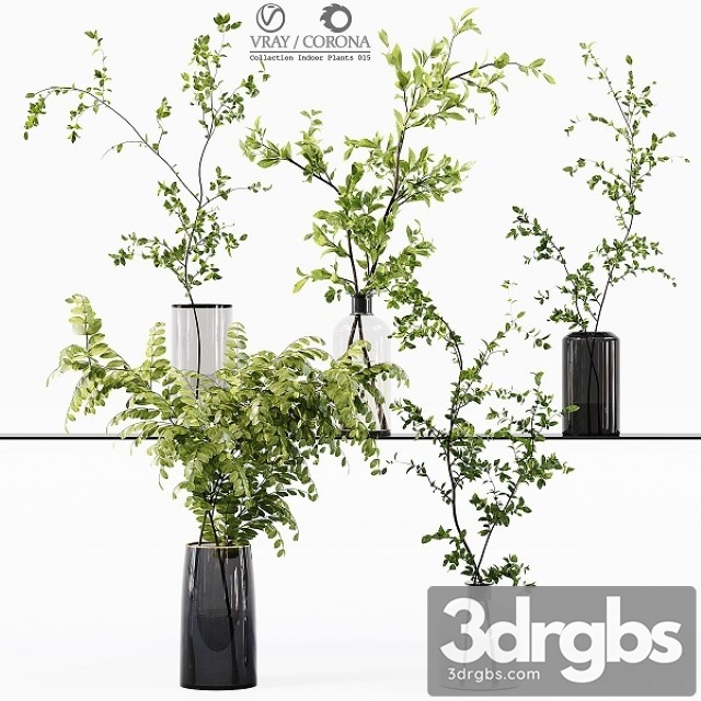 Collection Indoor Plants 015 3dsmax Download - thumbnail 1