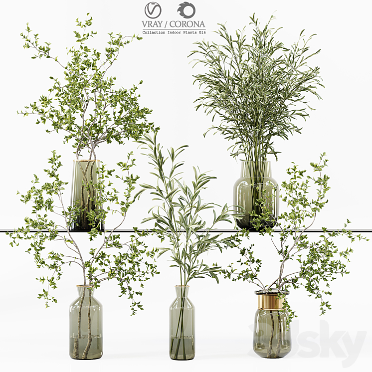 Collection Indoor Plants 016 3DS Max Model - thumbnail 3