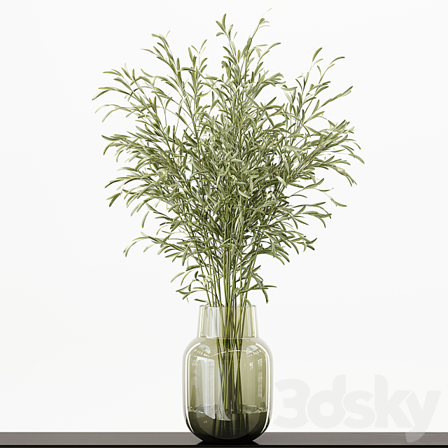 Collection Indoor Plants 016 3DS Max Model - thumbnail 5