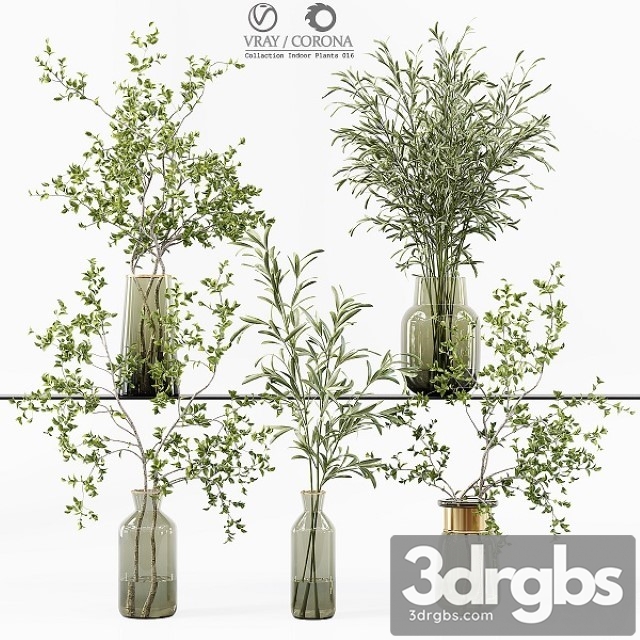 Collection Indoor Plants 016 3dsmax Download - thumbnail 1