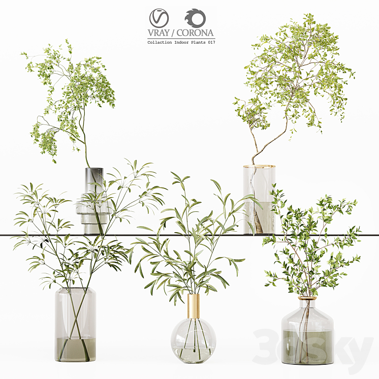 Collection Indoor Plants 017 3DS Max Model - thumbnail 1