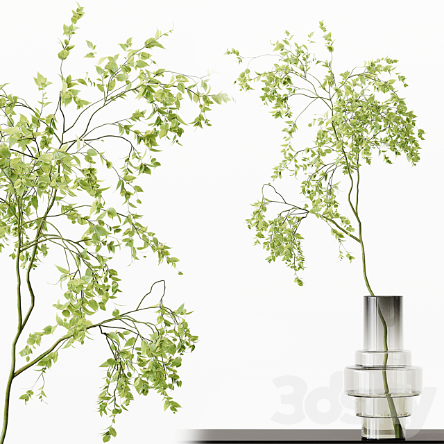 Collection Indoor Plants 017 3DSMax File - thumbnail 3