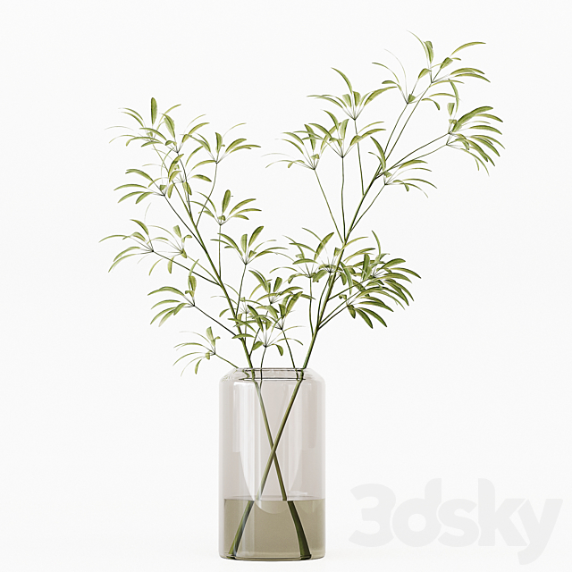 Collection Indoor Plants 017 3DSMax File - thumbnail 5