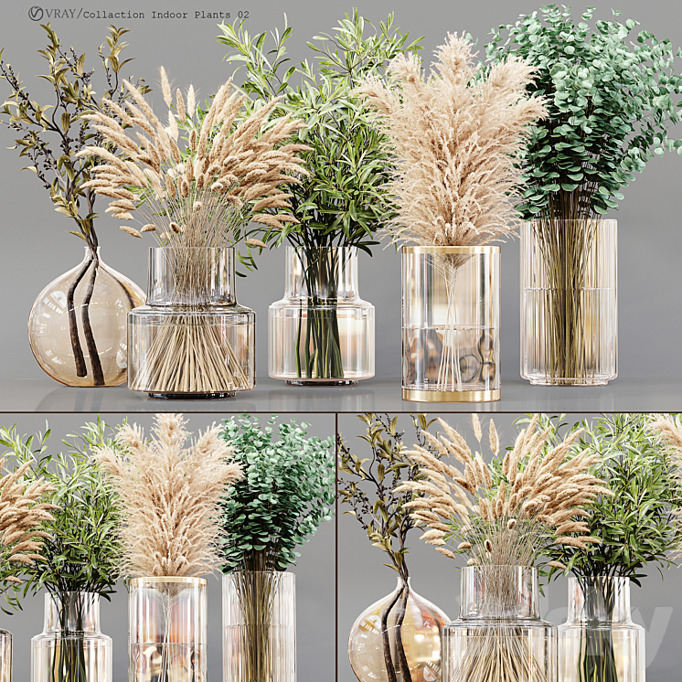 Collection Indoor Plants 02 3DS Max Model - thumbnail 3