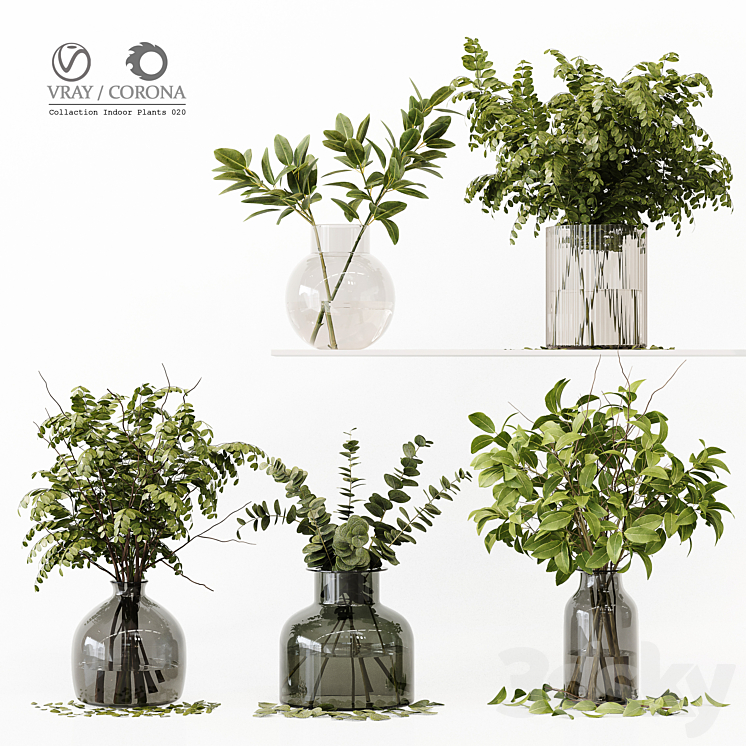 Collection Indoor Plants 020 3DS Max Model - thumbnail 1