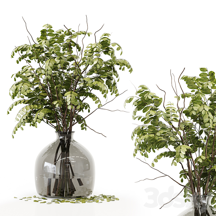 Collection Indoor Plants 020 3DS Max Model - thumbnail 2