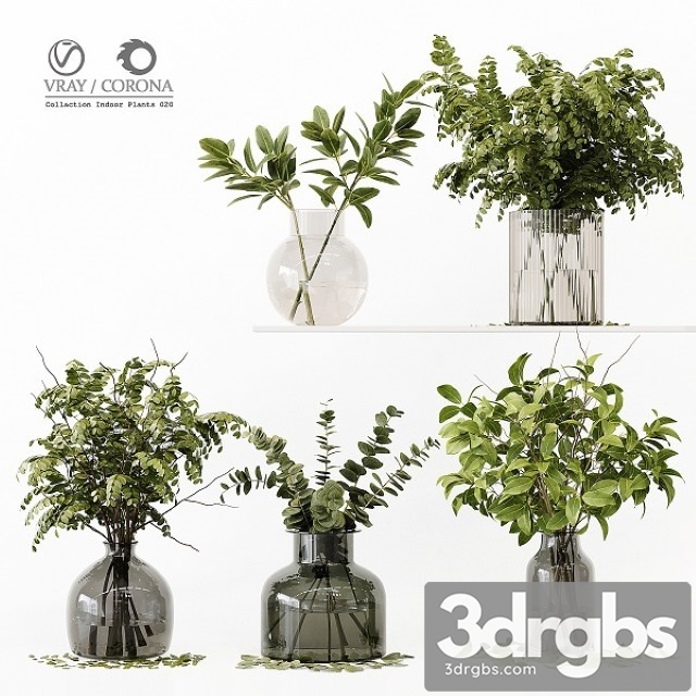 Collection Indoor Plants 020 3dsmax Download - thumbnail 1