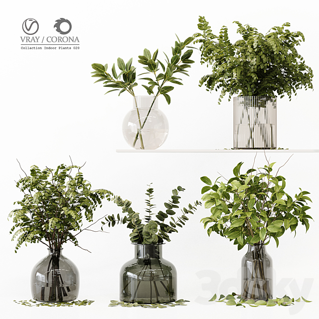 Collection Indoor Plants 020 3DSMax File - thumbnail 1