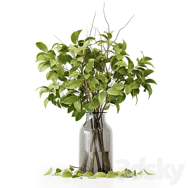 Collection Indoor Plants 020 3DSMax File - thumbnail 4