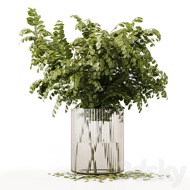 Collection Indoor Plants 020 3DSMax File - thumbnail 5