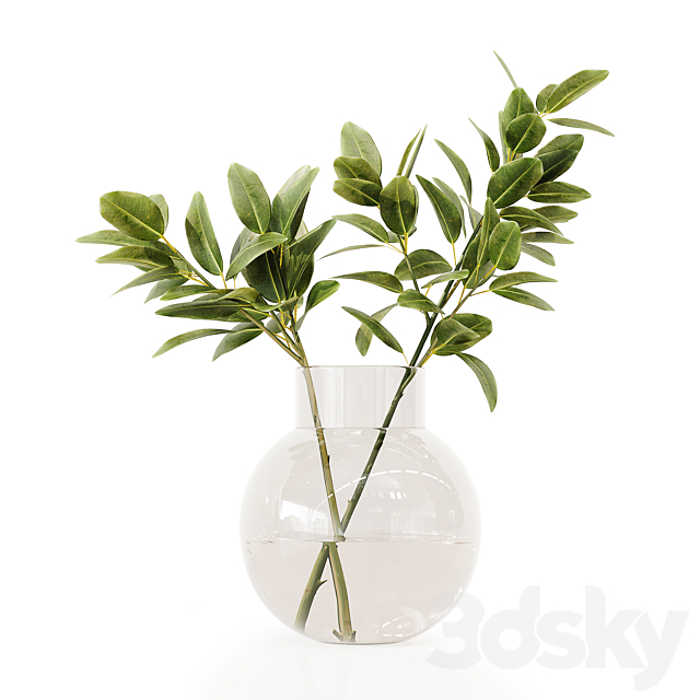 Collection Indoor Plants 020 3DSMax File - thumbnail 6