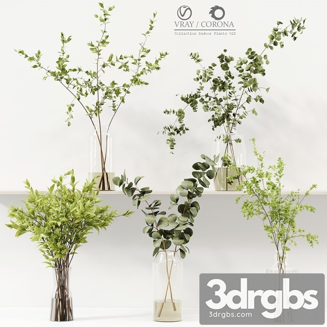 Collection Indoor Plants 022 3dsmax Download - thumbnail 1