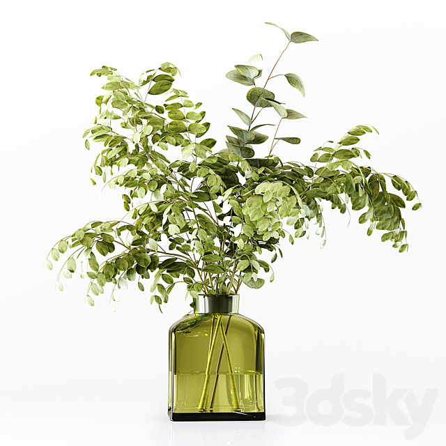 Collection Indoor Plants 023 3DSMax File - thumbnail 2