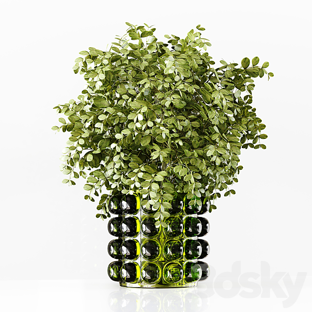 Collection Indoor Plants 023 3DSMax File - thumbnail 6