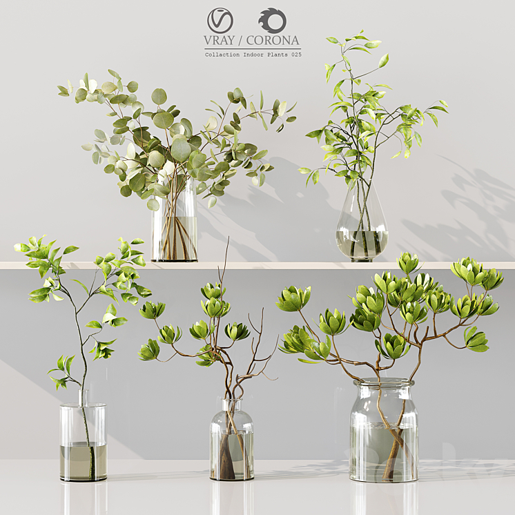 Collection Indoor Plants 025 3DS Max Model - thumbnail 1