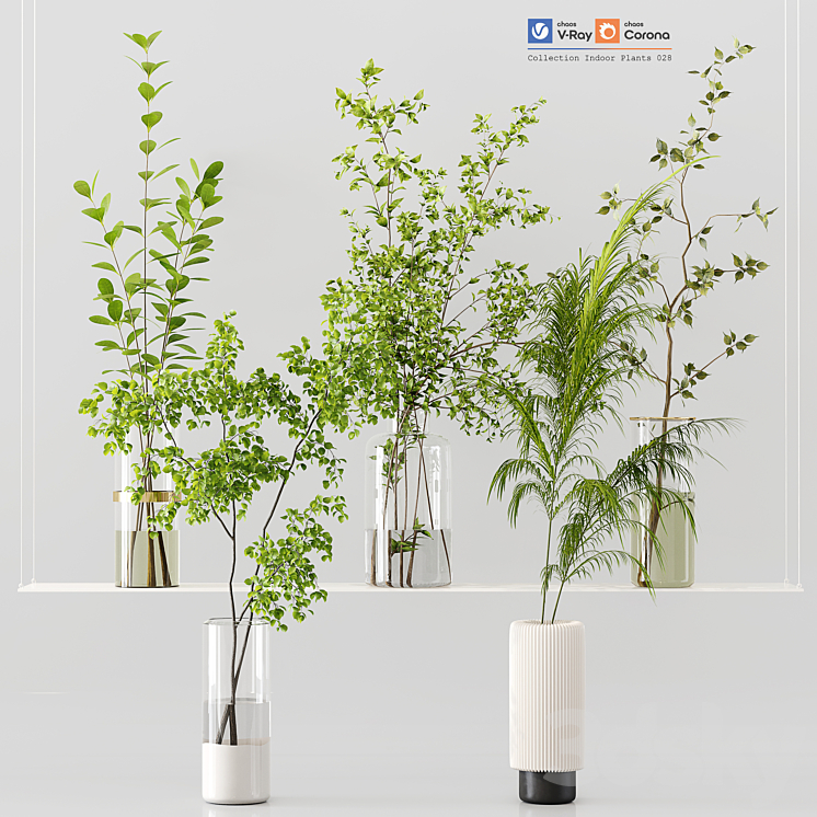 Collection Indoor Plants 028 3DS Max Model - thumbnail 3